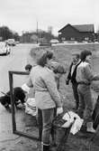 Annestorpsdalens scoutkår städar i Lindome centrum med angränsande områden, år 1985.

För mer information om bilden se under tilläggsinformation.