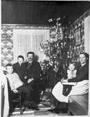 Wilhelm Johansson med familj.  Anneliden Lerdal  1922