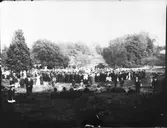 Steneby. Baldersnäs. Folklekar i parken