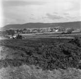 Vy väster om Öxnehaga i Huskvarna år 1962.