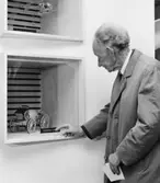 Postens utställning 