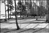 Sommarstugebebyggelse från 1940-talet. Vita Sannar  Järn