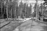 Sommarstugebebyggelse från 1940-talet. Vita Sannar  Järn