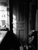 Spånga kvarn   Siene