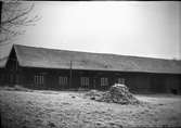 Ladugården. Nya ladugården under uppförande 1949.