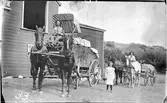Hästtransport  Stora Mellby