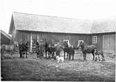Arvid och Johansson med hästar och drängar  Gestad