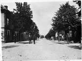 S Edsgatan före de stora trädens fällande omkring 1920.  Vänersborg