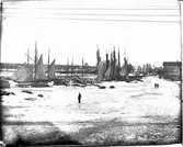 Hamnväsen  Vänersborg