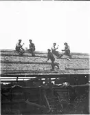 Taktäckning    Asklanda