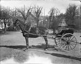 Häst med vagn   Gestad