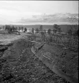 Hällristning. Tisselskog