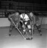 Ishockey i Rosenlundshallen år 1960 med besök av norska laget Gamlebyen.