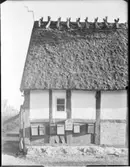 Konservator Nilssons gård, Skåne