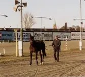 Deep Reef under inkörning på Åby Stallbacke 1985. 

Blandade bilder inslamlade i samband med dokumentation av Åby Stallbacke och Stallgårdarna 2015.