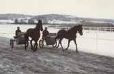 Travträning i Balltorp 1984. 


Blandade bilder insamlade inför dokumentation av Åby Stallbacke och Stallgårdar 2015.
