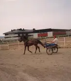 High reef under inkörning på Åby. 


Blandade bilder insamlade inför dokumentation av Åby Stallbacke och Stallgårdar 2015.