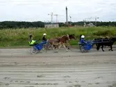 Åby Travskola och Omgivningar 2008.
 
Elever från Åby Travskola travtränar på slingan 2008.