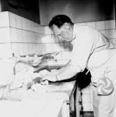 Matlagningskurs på Yrkesskolan den 20 september 1956.
