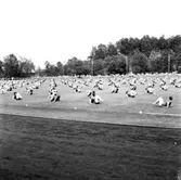 Uppvisning av husmorsgymnastik år 1961.
