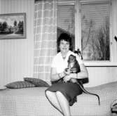 Apa som husdjur hos en familj i Stensholm i Huskvarna den 14 februari 1961.