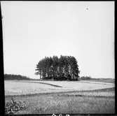 Kårebyhögen Bolstad