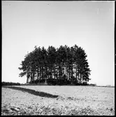 Kårebyhögen Bolstad