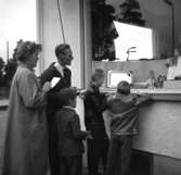 Familj på tipspromenad i Bankeryd på 1960-talet.