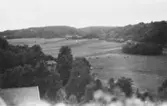 Utsikt från Torrekulla mot Alvered, okänt årtal.