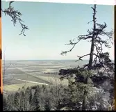 Utsikt från Halleberg.