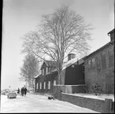 Kokhuset i Vänersborg. 
1838 uppfördes ett kokhus nära hamnen i Vänersborg. Syftet med kokhuset var att ge skeppsbesättningarna en möjlighet att kunna laga mat och tvätta sina kläder då det var förbjudet att ha öppen eld på båtarna som låg tätt packade i hamnen. Byggnaden rymde förutom kokrum en bagarstuga, hökarbod och ett bostadsrum. Med tiden ansågs dock kokhuset som överflödigt. Under 1870-talet hade brandordningen som förbjöd eldning i hamnen ändrats och dessutom hade Vänersjöfarten minskat efter tillkomsten av järnvägarna. 1880 började kokhuset istället användas som bostadshus vilket rymde sex smålägenheter och två spisrum. Efter flera försök att rädda kokhuset så revs det dock sommaren 1964.