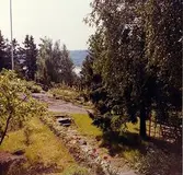 Sommaren 1964. Utsikt från trappa i söder, väster äppelträd och vinbärsbuskar. På andra sidan berget hallonbuskar. Till höger den stora björken som nu är enorm och snart ska bort, berså med vita möbler.
Morfar Erik lade gärdesgården av sten hela östsidan och del av sydsidan.