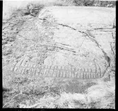 Skepplanda, hällristningar.