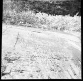 Skepplanda, hällristningar.