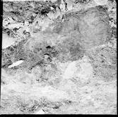 Utgrävning av urna. Svenstorp