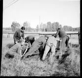 Dalskog, Källhult. Skålgropssten