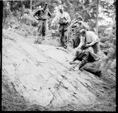 Högsbyn, Hällristning.