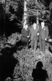 Tre äldre, kostymklädda herrar står i en skog. Det är Gustav, Erik och 