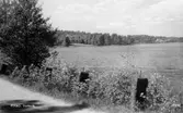 Vy över Porsvik i Rådasjön mot Slottsviken, 1960-tal.