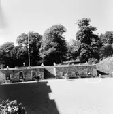 Gunnebo slottpark. Man ser skuggan av slottet till vänster. 1970-tal.