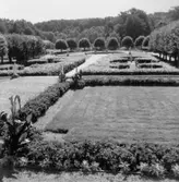 Gunnebo slottspark åt söder, 1970-tal.