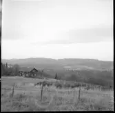 Edsleskog, Högheden.