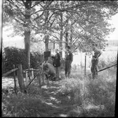 Hällristningar i Högsbyn.
Text på skylt: Passage genom trädgården för besökande till hällristningarna.