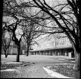 Vänersborg, Huvudnässkolan. Arkitekt Åke Wahlberg. 
Huvudnässkolan invigdes 1963. På bilden syns 