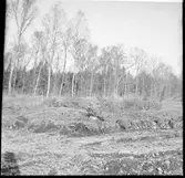 Herrljunga, fångstgrop.