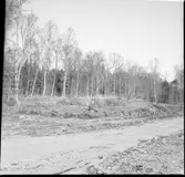 Herrljunga, fångstgrop.