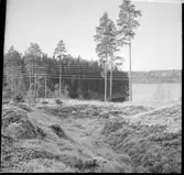 Dals-Ed, Karl XII:s skansar.