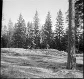 Dals-Ed, 1808 års skans.