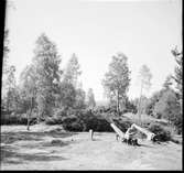 Fornsalen i Ödeborg.