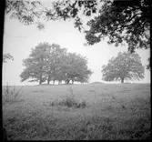 Fornlämning på Prästgården i Västra Tunhem.